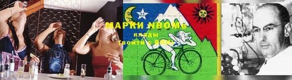 стаф Зеленокумск