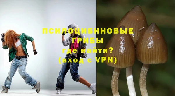 стаф Зеленокумск