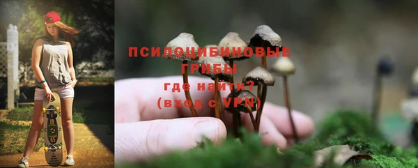 эйфоретик Зеленодольск
