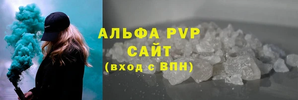 стаф Зеленокумск