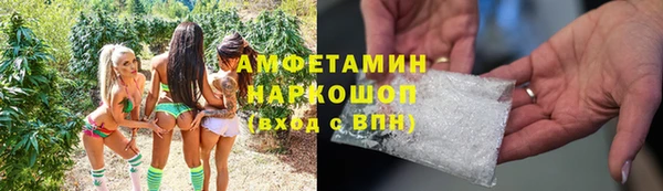 стаф Зеленокумск