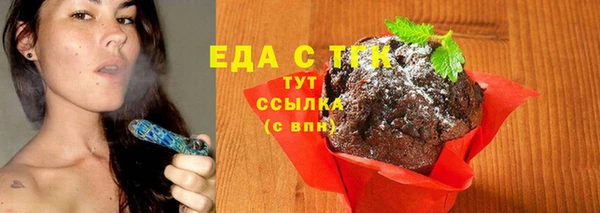 МДПВ Каменногорск
