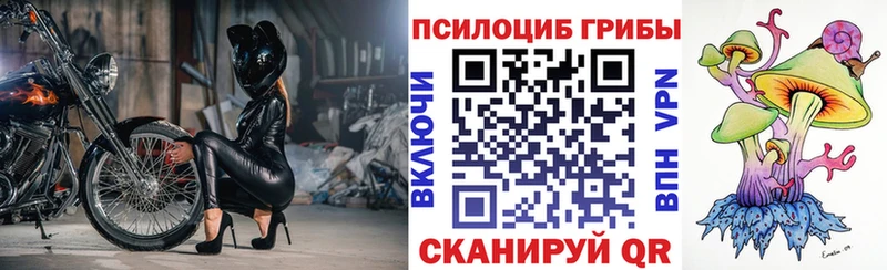 Галлюциногенные грибы мицелий  наркота  Исилькуль 